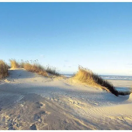 With Terrace Vakantiehuis *