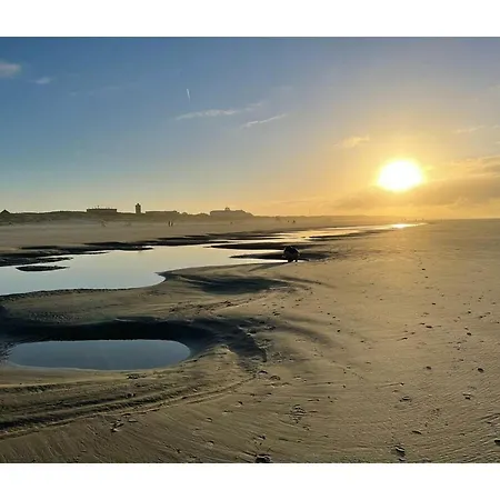 With Terrace * ג'וסט