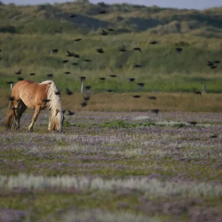 בית נופש With Terrace ג'וסט
